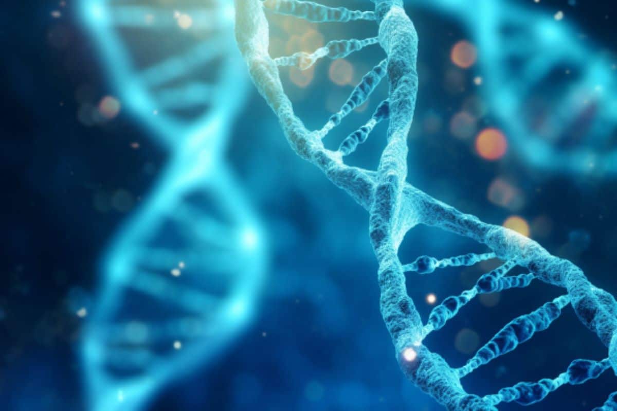 picture of genes